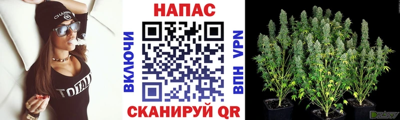 ГАШИШ Сланцы