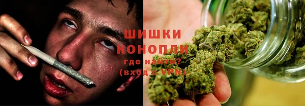 гидропоника Сатка
