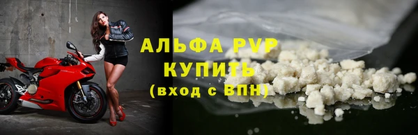 таблы Богданович