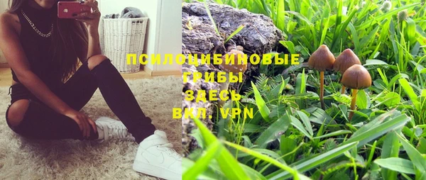 метадон Богородицк