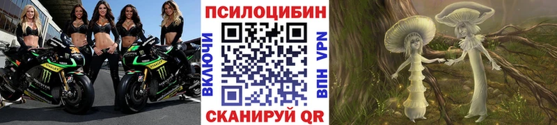 Галлюциногенные грибы Cubensis Сланцы