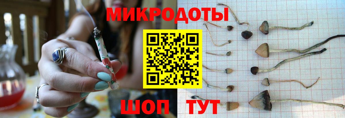 Псилоцибиновые грибы GOLDEN TEACHER Сланцы